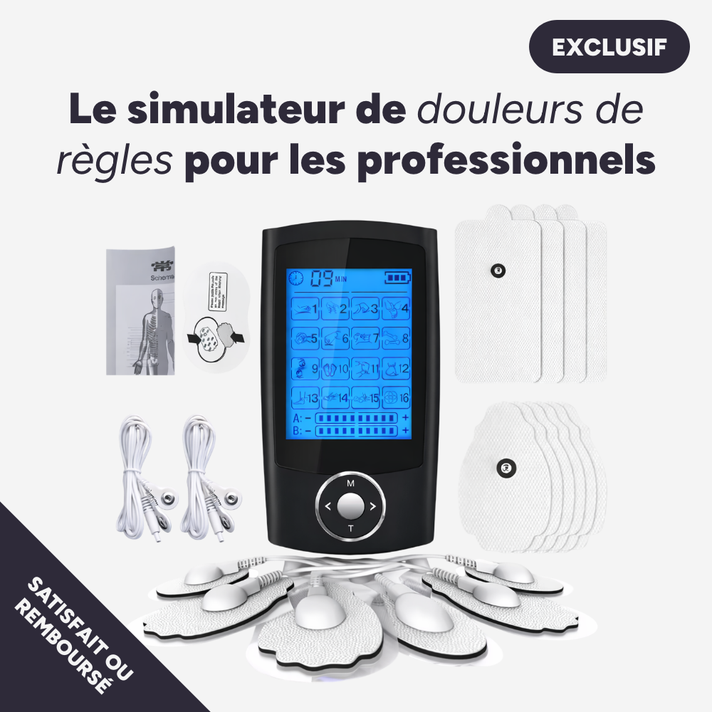Simulateur de Règles (professionnel)