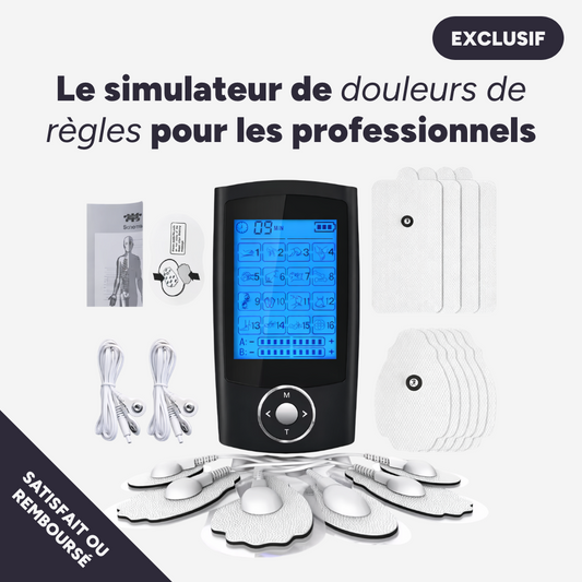 Simulateur de Règles (professionnel)