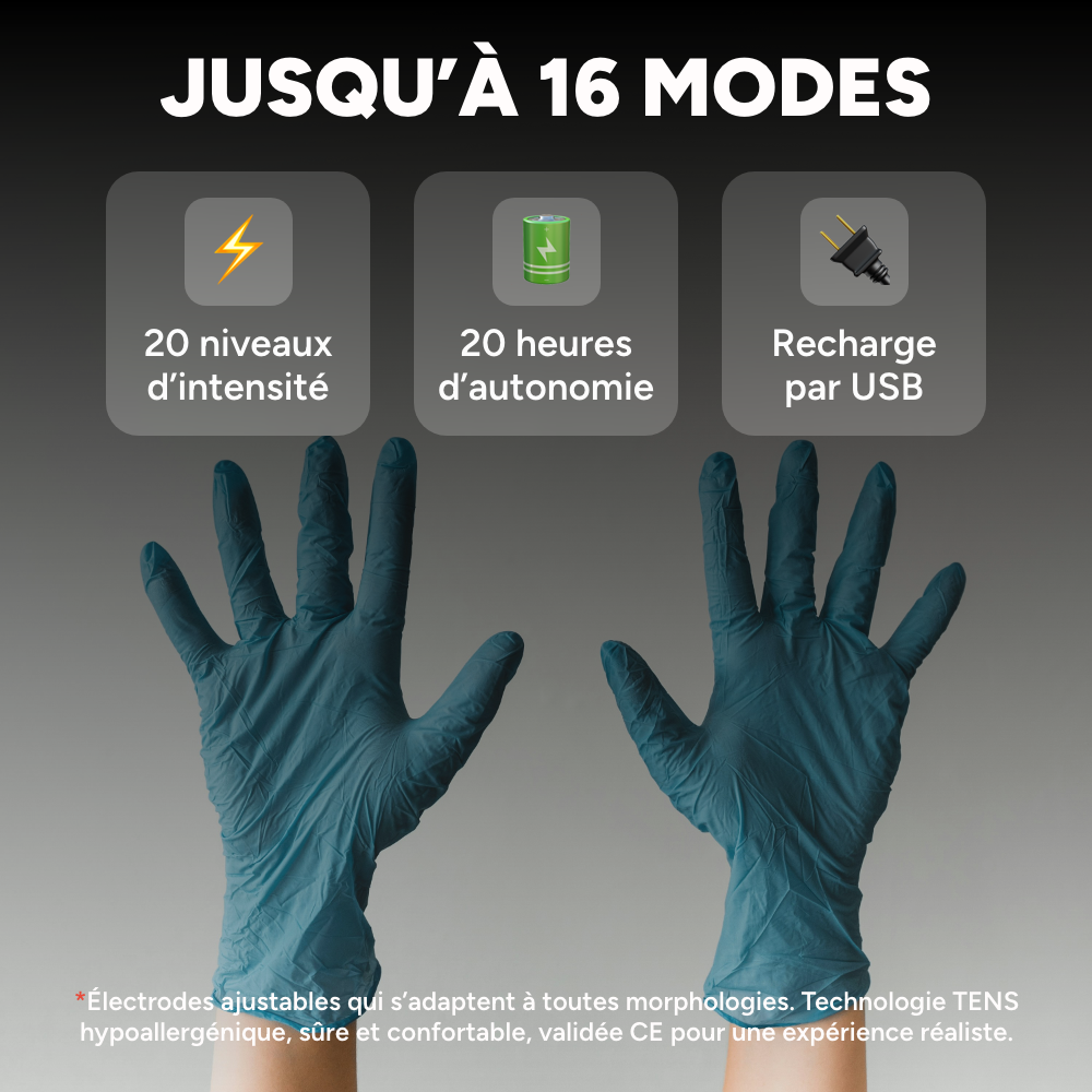 Simulateur de Règles (professionnel)