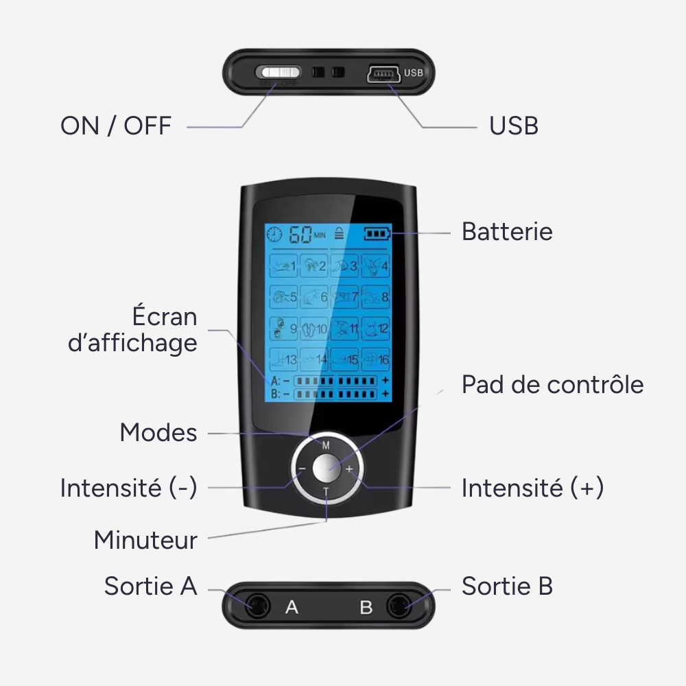 Simulateur de Règles (professionnel)