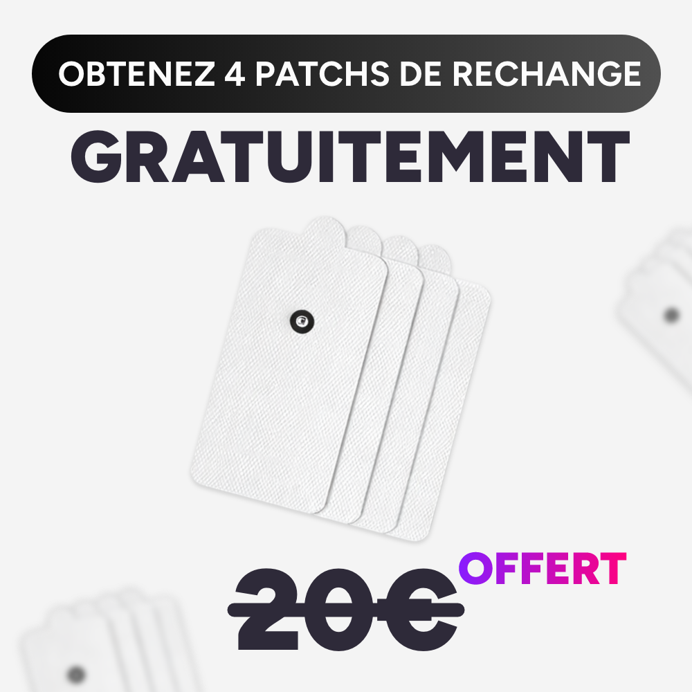 Simulateur de Règles (professionnel)