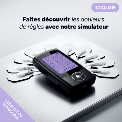 Simulateur de Règles Intense